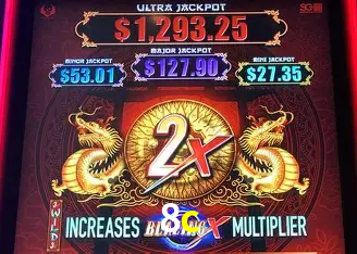 8c Rio de Janeiro - Professional Dealers